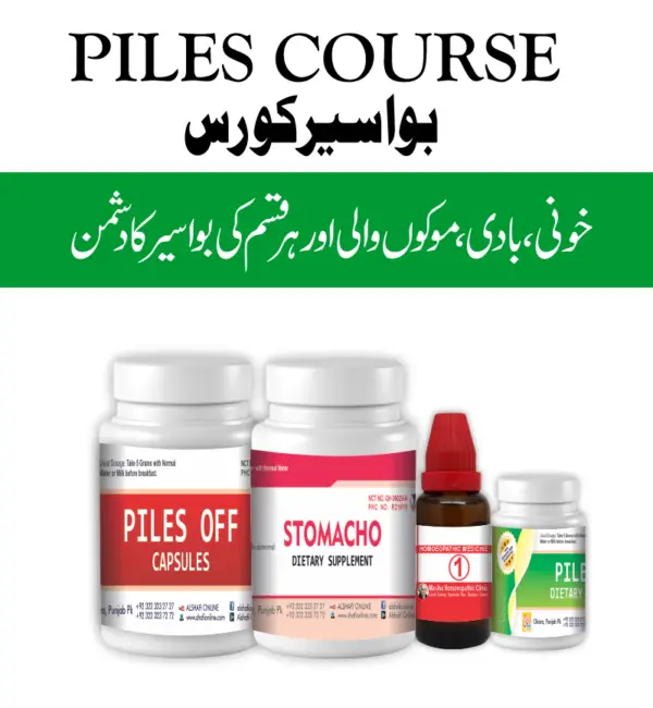 PILES COURSE