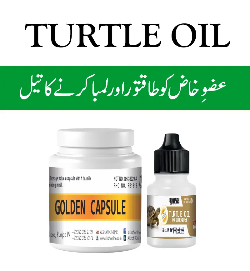 TURTLE OIL